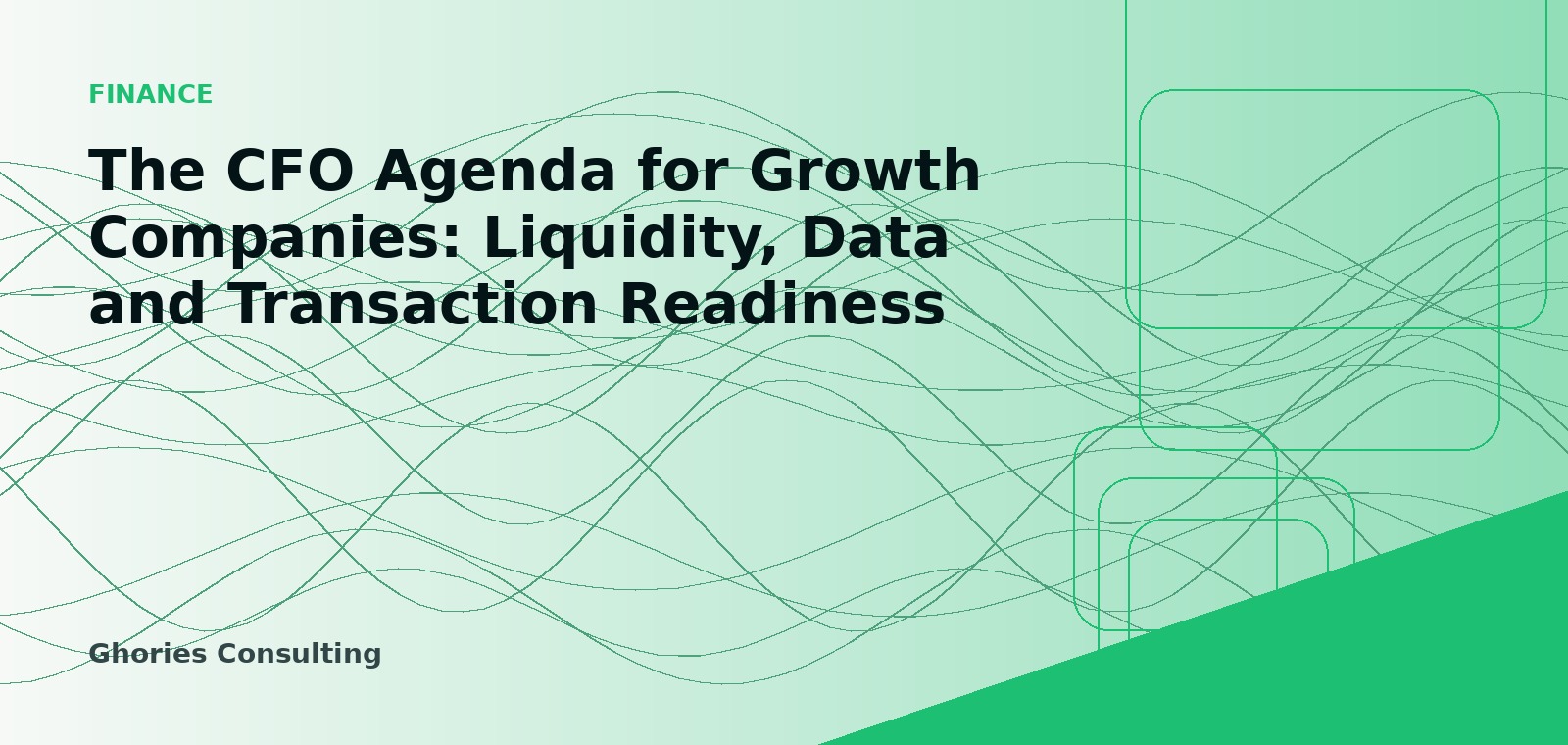 The CFO Agenda for Growth Companies: Liquidity, Data and Transaction Readiness cover image
