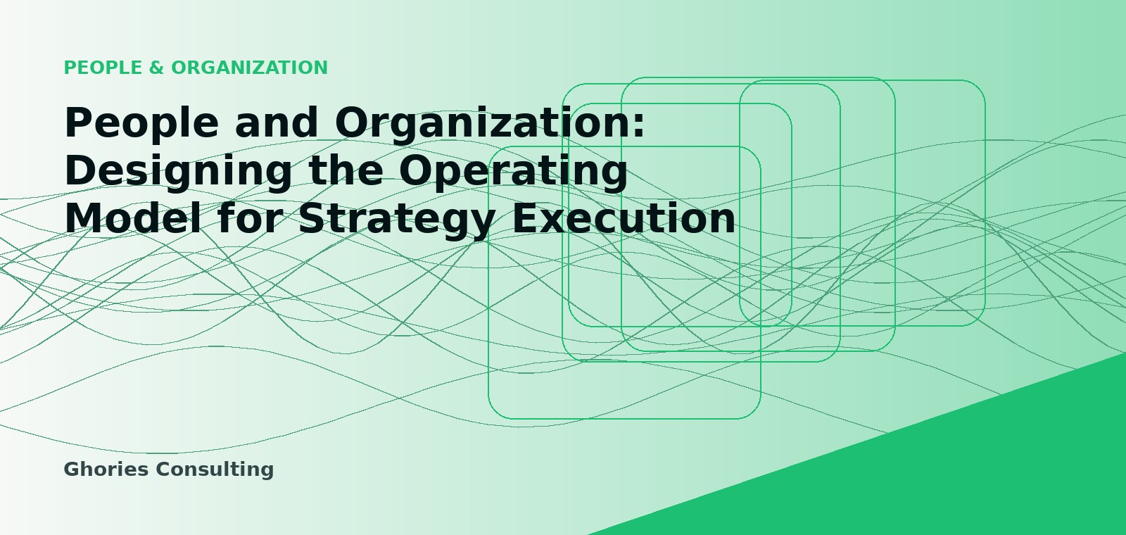 People and Organization: Designing the Operating Model for Strategy Execution cover image
