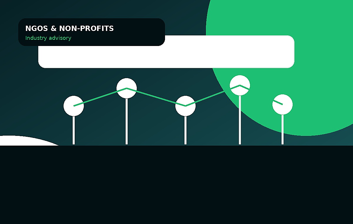 NGOs & Non-Profits advisory visual
