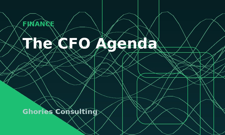 The CFO Agenda for Growth Companies: Liquidity, Data and Transaction Readiness thumbnail